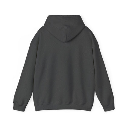 Warm Windows, Snowy Pines unisex hoodie